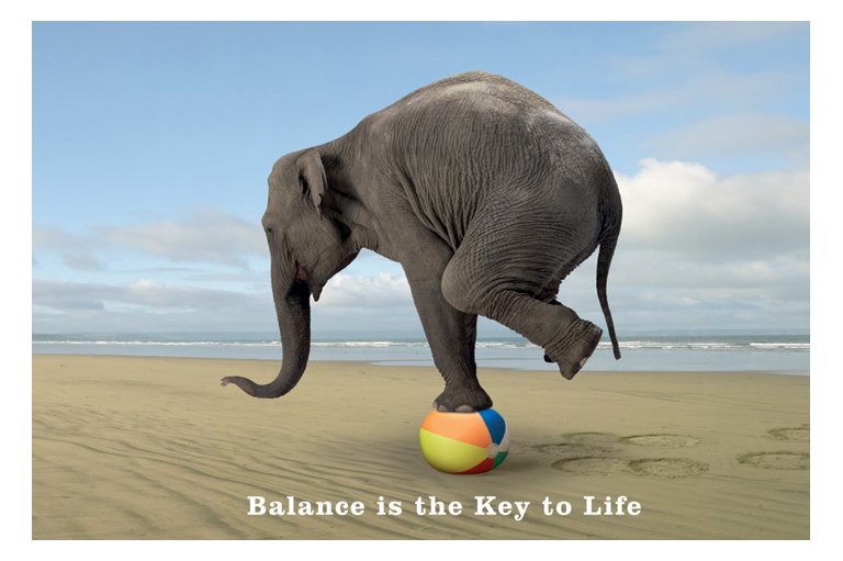 Elephant Balancing on Beach Ball